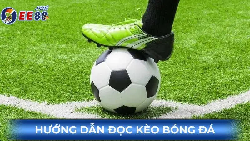 Cách đọc kèo bóng đá chuẩn xác và mới nhất năm 2025 4 Huong-dan-doc-keo-bong-da